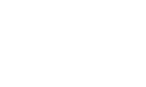 Classicon-Logo-white Classicon logo